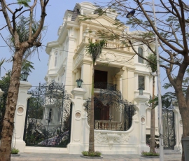 CỔNG SẮT NGHỆ THUẬT - 084